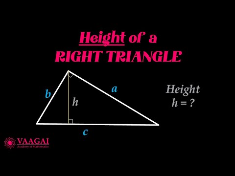 Height of a Right Triangle | In English