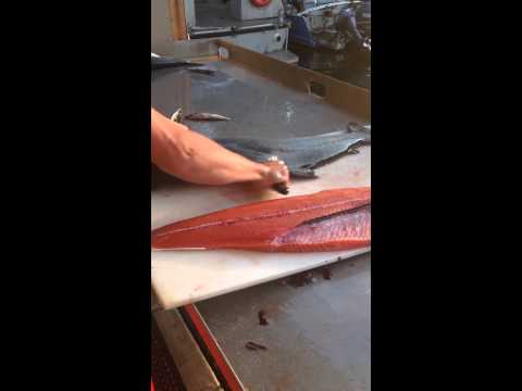 Fastest salmon cutter