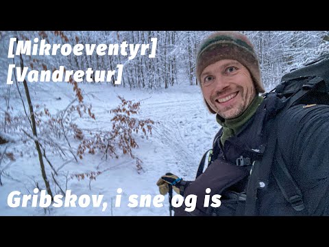 Vandretur i Gribskov, i sne og is, vinter [Mikroeventyr]