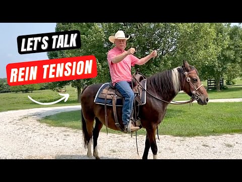 Rein Tension - Does A Tight Rein Cause A Horse To Rear?