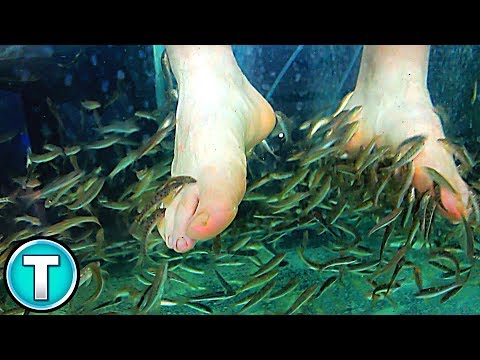 Feeding Fish with Your FEET!