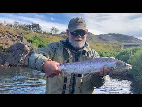 SALMON fishing with Simon Fish in Reykjavík ICELAND - ICELANDIC ELEMENTS -