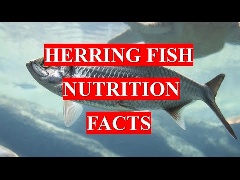HERRING FISH - HEALTH BENEFITS AND NUTRITION FACTS